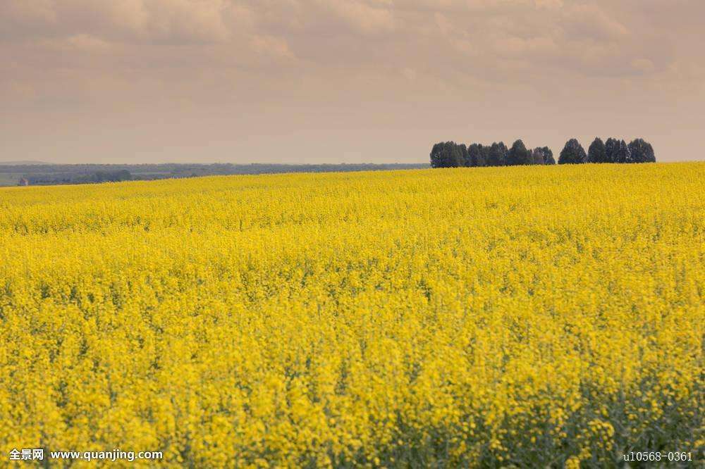 �����й��򾭼ô�����Эͬ��չ