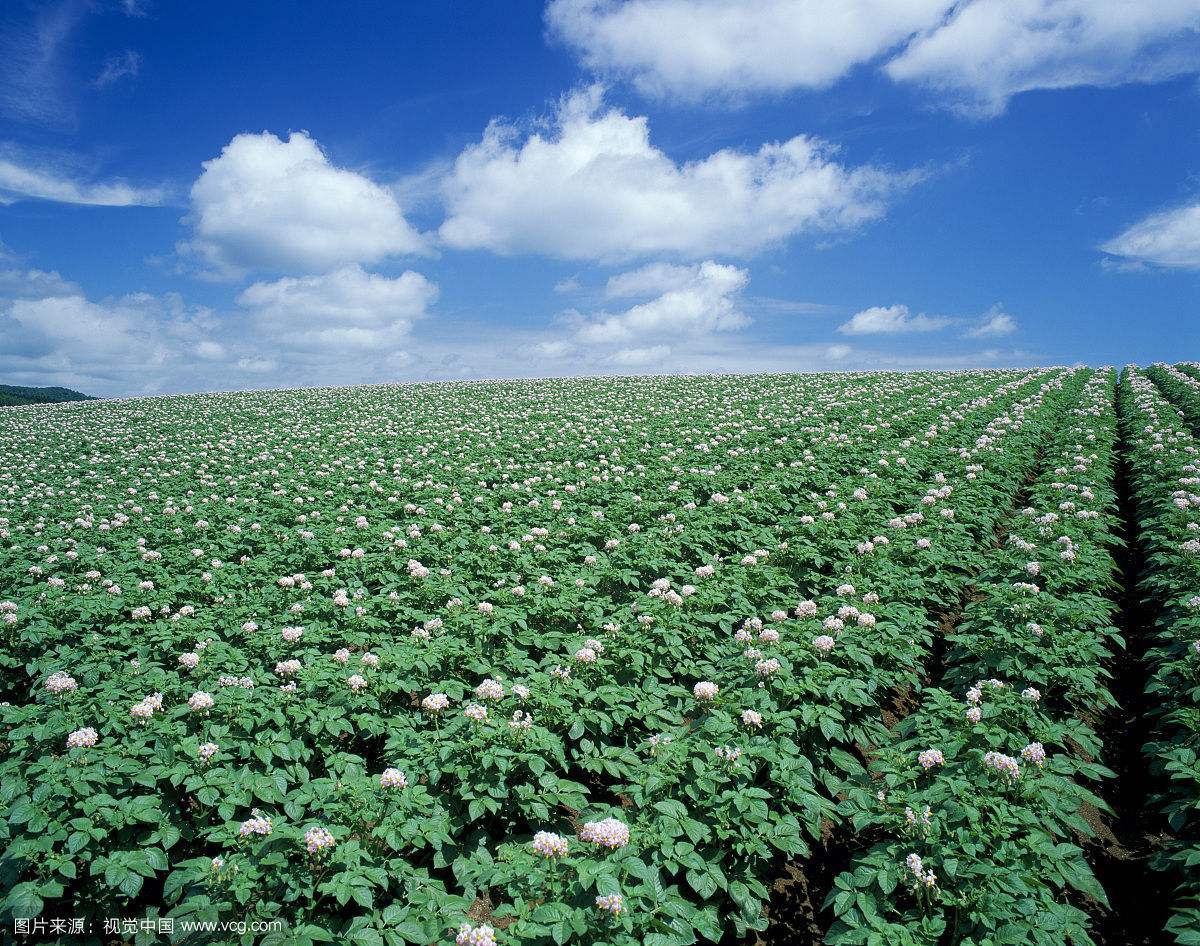 ���ź�������ũҵ�������� ����ʮ�˴�����ũҵ���ʺ����ɾ�����