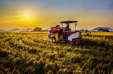 �̵�2017ũҵ�����ݣ��ҵ�2018�·���