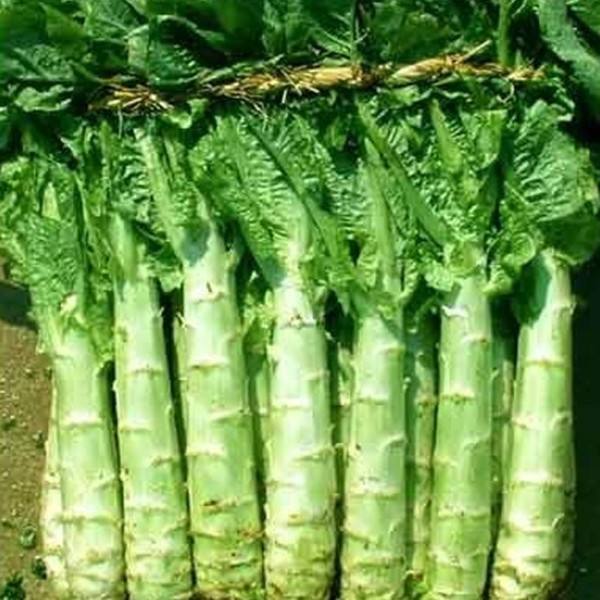 ݫ�����署����