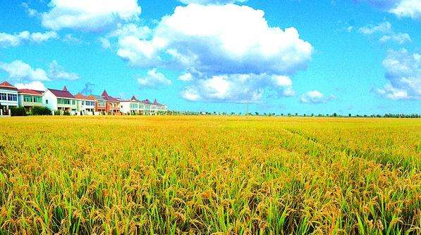 ����ʡ�ӿ��ƽ�23���ȴ����ܲ�ҵ��Ŀ