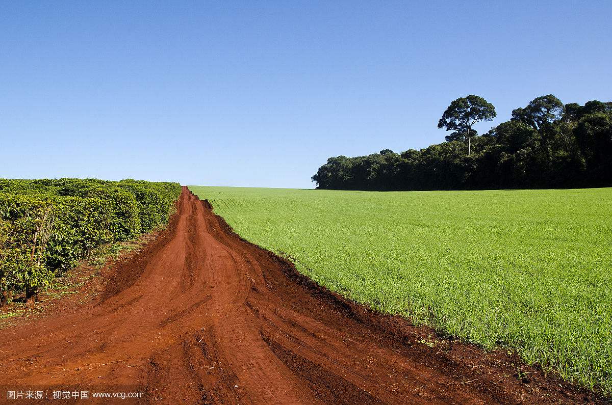 ��ũ�����ܡ����Ǽ�����������