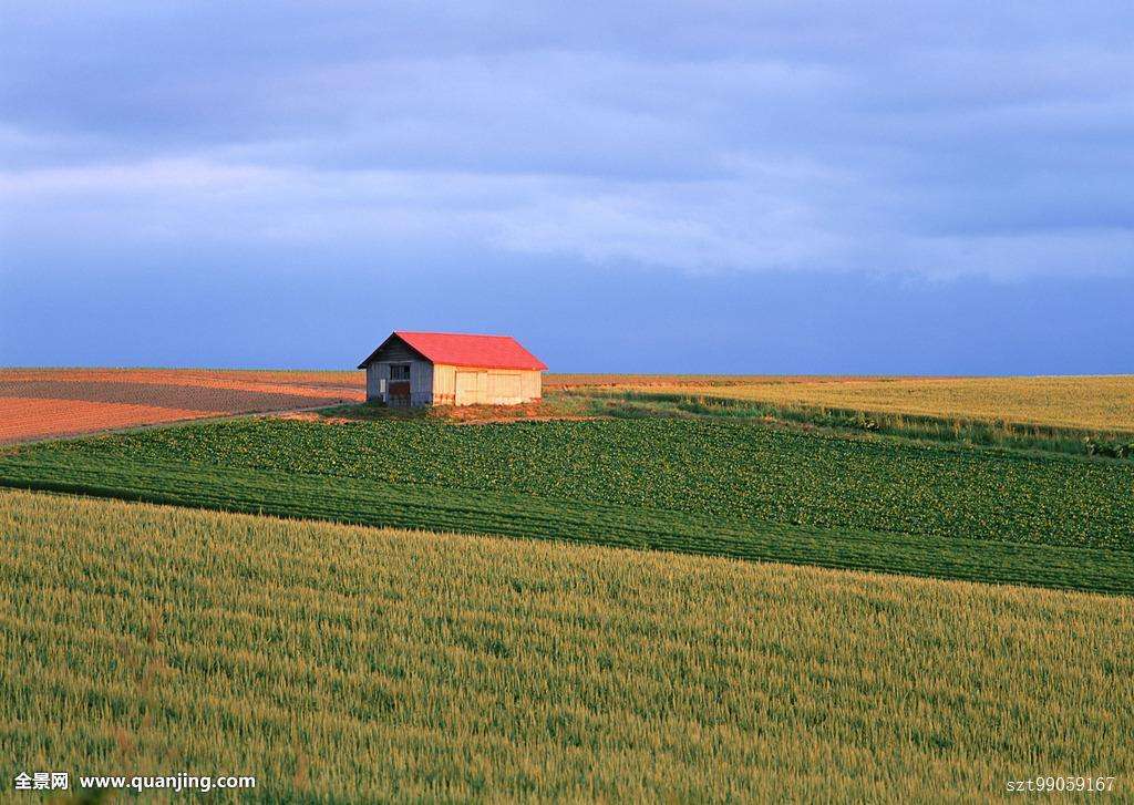 ��������������Ϸ��г�