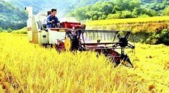 ɽ��ʡ����15��ԪͶ���������