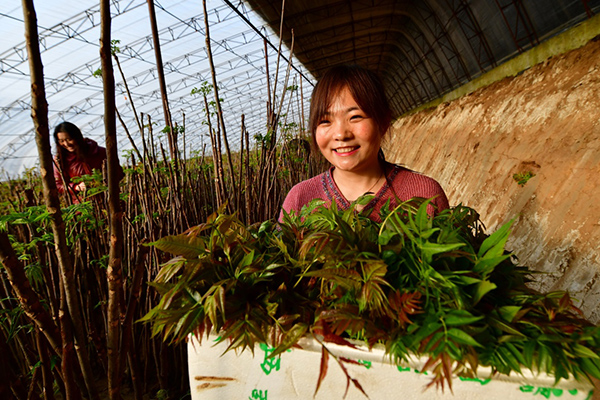 ��ʱ������ũ����ʾ¼���ĸﾫ��������Ұ