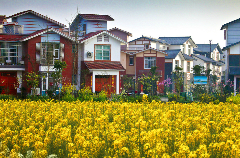 ��ʱ������ũ����ʾ¼����ҵ���ս���ݽ�