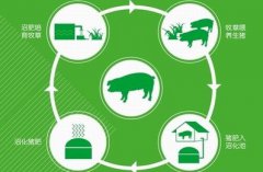 ����ʵʩѭ��ũҵ��չ����