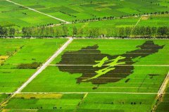 ����������˵�һ��