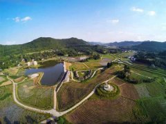 来自农村的部分代表热话乡村振兴