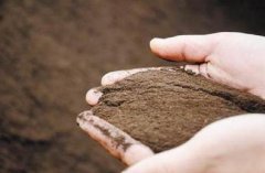 �����л��ʣ���ҵ������Ч