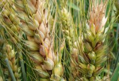 ����ȫ������С���ù��