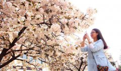 �����������Ҫ���⡰ǧ��һ�桱