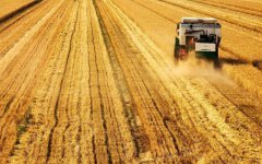 ȫ���ո��ۺ������ʴ�82%