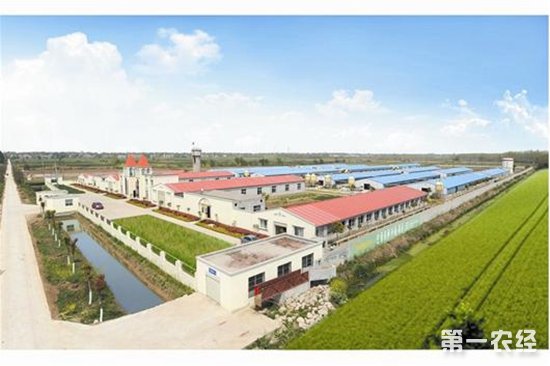 农业部公布170个不符合畜禽养殖规定的示范场 并取消其资格