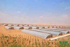 ��ũ���ڴ�Į���������ȴ��·�չ���ũҵ