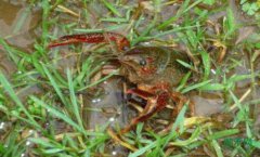 ��Ϻ������Ǯ���á� ˮ���ɡ��۱��衱