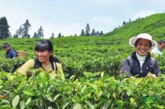 ţƤ��۸ߣ�Ϊ���Ѷ���ũ�ģ�