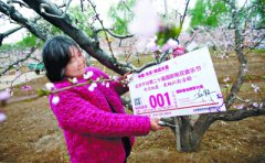 ƽ�����ҵĹ��£�������̯���Ϲ�