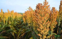 �ҹ��������ڸ�����ȡ��ʱ��������ʩ