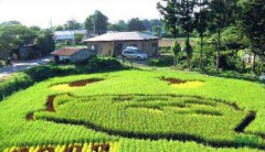 ��2020��,����ũҵ���������Ӫ������������Ԫ