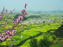 ��ɫ+���� ����˾���Ҫ�������