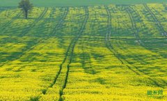 ���򾭼ýṹؽ����һ������ɫ����