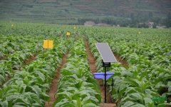 �ƽ�������ɫ����Ҫץ�á��嶯��