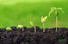 ȫ�����˲��л�����������ƽ���ʵ�����ٿ�