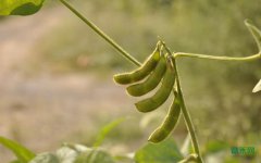 �������ô�֣�ũҵũ�岿ר��֧��