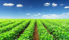 �ִ�ũҵ��Ҫ�߱�׼ũ�ｨ��