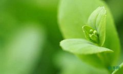 �������������ɴ���ɫ��