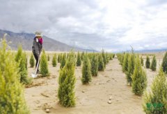 ���¾�������������̬��ƶ