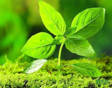 �й�ũ��Ժ�Ƴ��߲���ɫ��չ��������ģʽ