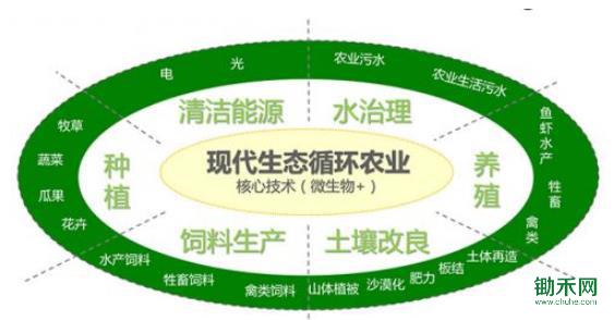 360ͼ-21460776.jpg