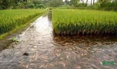 5����19�ֵ���ģʽΪ�����ۺ���������