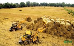 ��֦���ոѡ���㡭�����ŵ䣢��Դǿ�Ƹ���