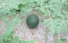 ���������ϡ�����������£�