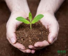 �ҹ�����ũ�õ�������Ⱦ���չܿر�׼