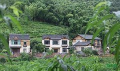 ������ũ����Ϊ��ũ���յġ��ƽ��ݡ�