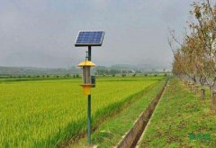 ������ƽ����ɫ����ȷ����ҩ��Ч