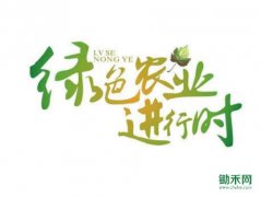 ���մ��조��ɫ��ũ��Ʒ�Ƽ�Ⱥ