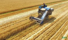 �������գ��춨ȫ����ʳ���ջ���