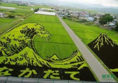 ����ɽ֮ʯ��רҵ�Ҿ�ϸ���ձ�ũҵ