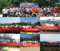 ��ҽũҵ��������ɫ�޹�������ƻ��