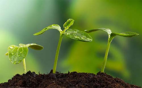 <a  data-cke-saved-href=http://www.agrichem.cn href=http://www.agrichem.cn target=_blank>农药</a>桶混助剂未来一片璀璨，必将刷新和重塑植保新格局