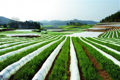 �Ĵ����䣬�̿�һ��ɫ�ʰ�쵵��л�ũҵ����