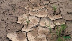 ��򣺵�2020�꣬ȫ������Ⱦ���ذ�ȫ�����ʴ�91%