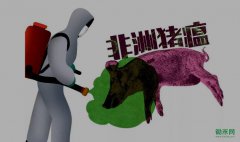 ͬŬôӮս