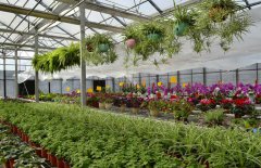 12�ֳ�������̬ѭ��ũҵģʽ��һ