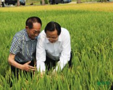 �����ӽ������߲������ʣ�һ����������